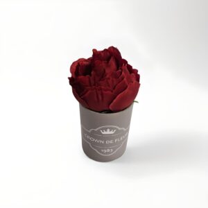 Duftrose von Crown De Fleur